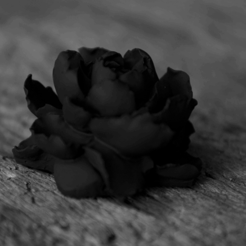 Dufstein "Jasminblüte" S